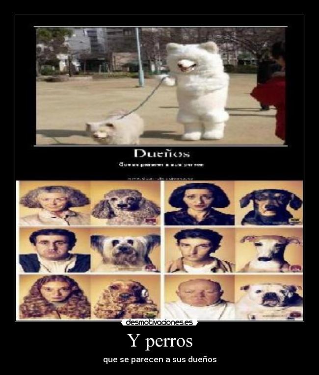 Y perros - que se parecen a sus dueños