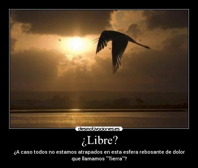 ¿Libre? - ¿A caso todos no estamos atrapados en esta esfera rebosante de dolor
que llamamos Tierra?