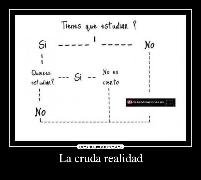 La cruda realidad -