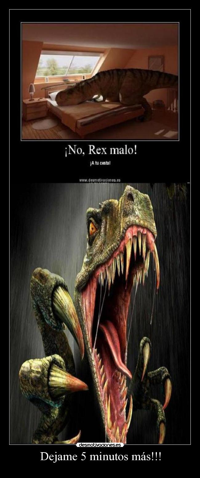 Dejame 5 minutos más!!! - 