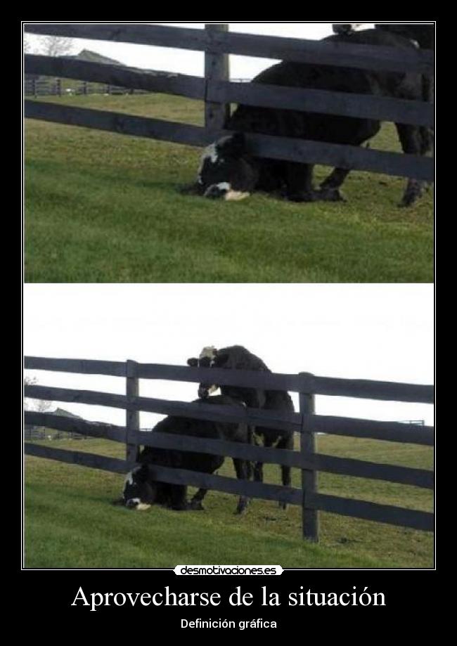 Aprovecharse de la situación -