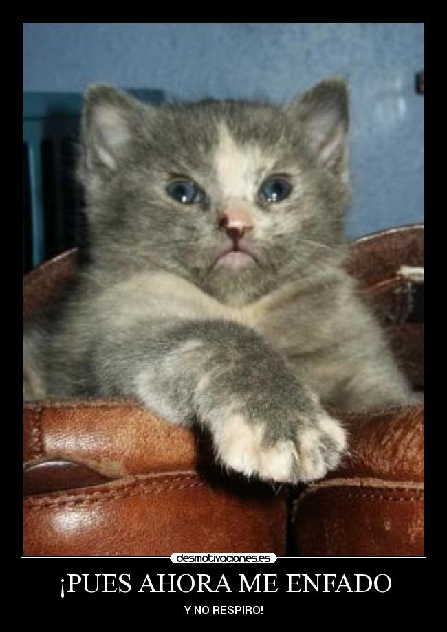 ¡PUES AHORA ME ENFADO - 