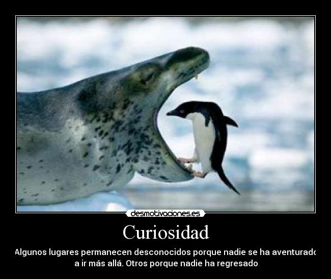 Curiosidad - Algunos lugares permanecen desconocidos porque nadie se ha aventurado
a ir más allá. Otros porque nadie ha regresado
