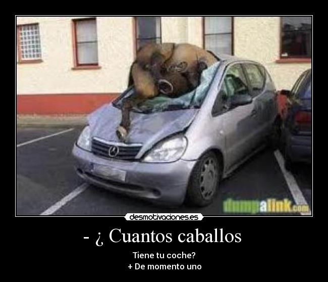- ¿ Cuantos caballos -