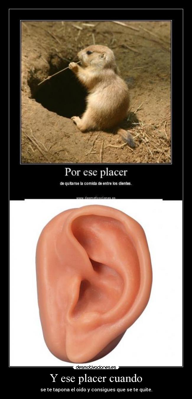 Y ese placer cuando - 