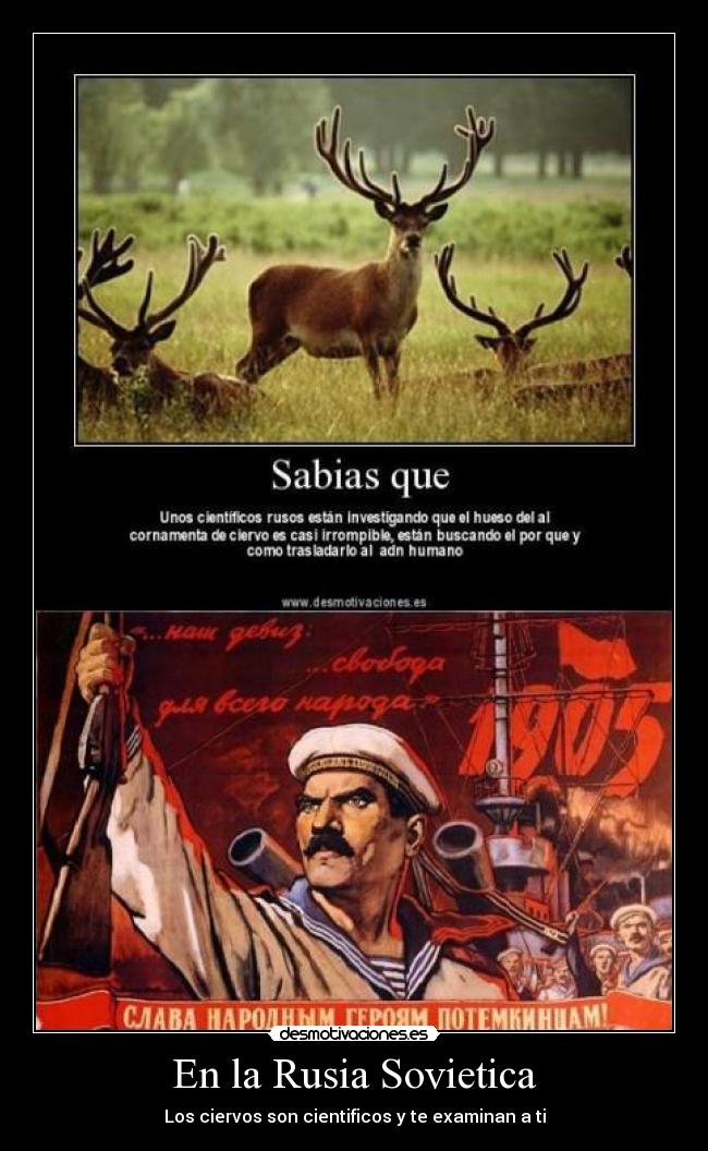 En la Rusia Sovietica - 