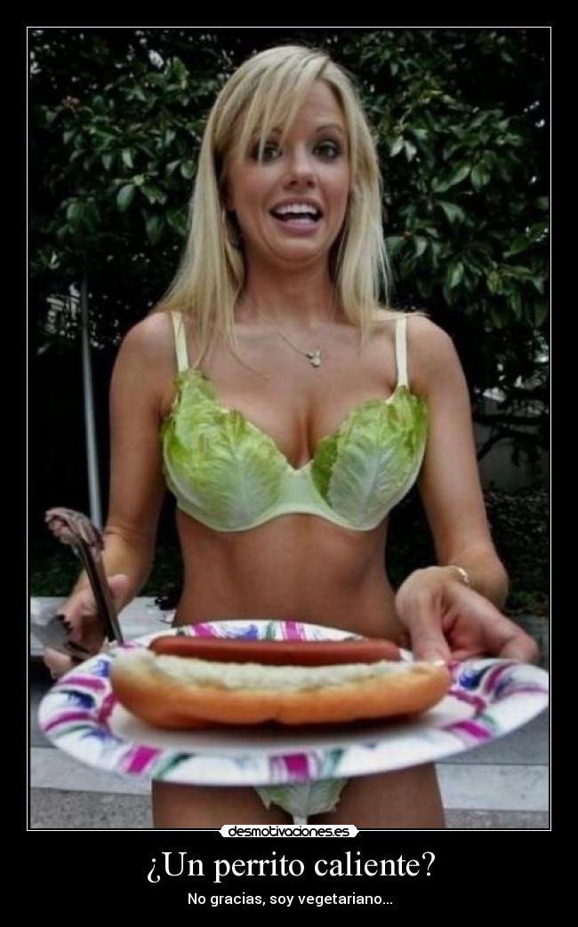 ¿Un perrito caliente? -