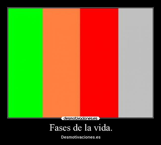 Fases de la vida. - 