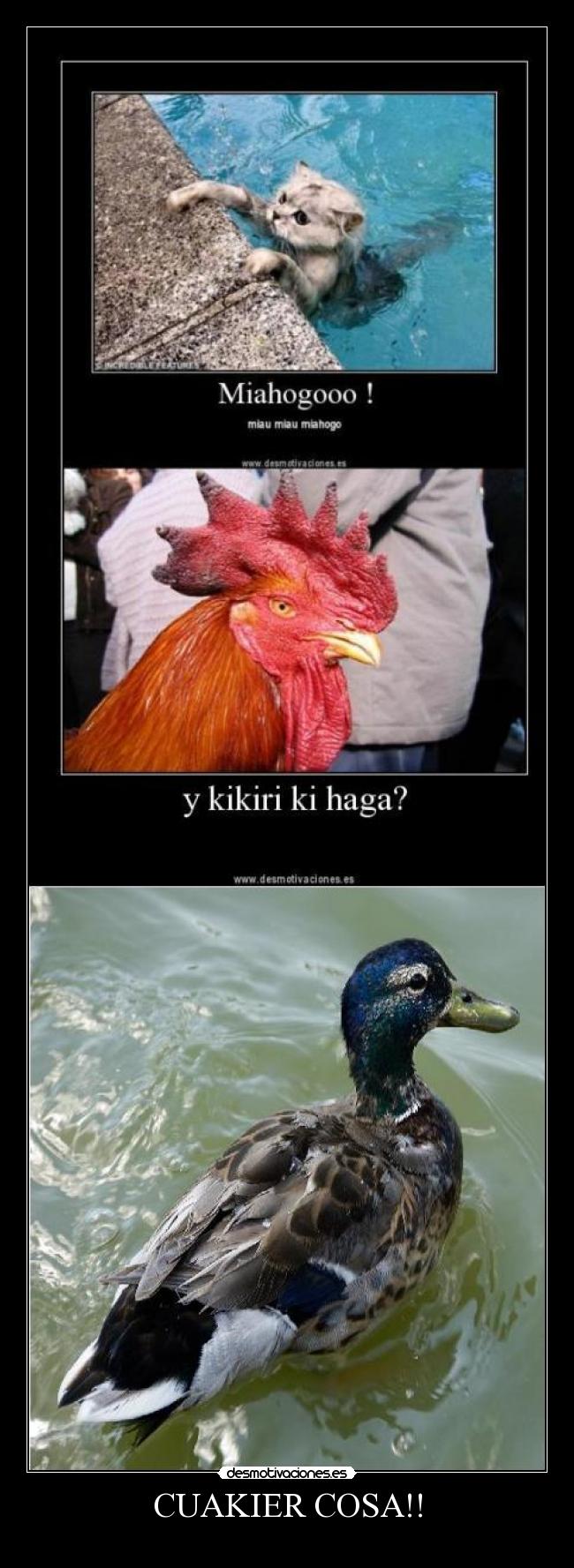 CUAKIER COSA!! - 
