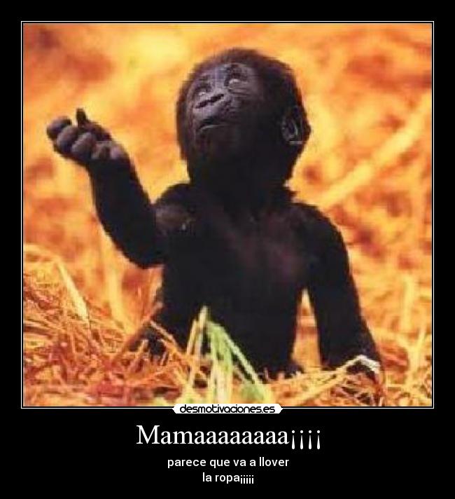Mamaaaaaaaa¡¡¡¡ -