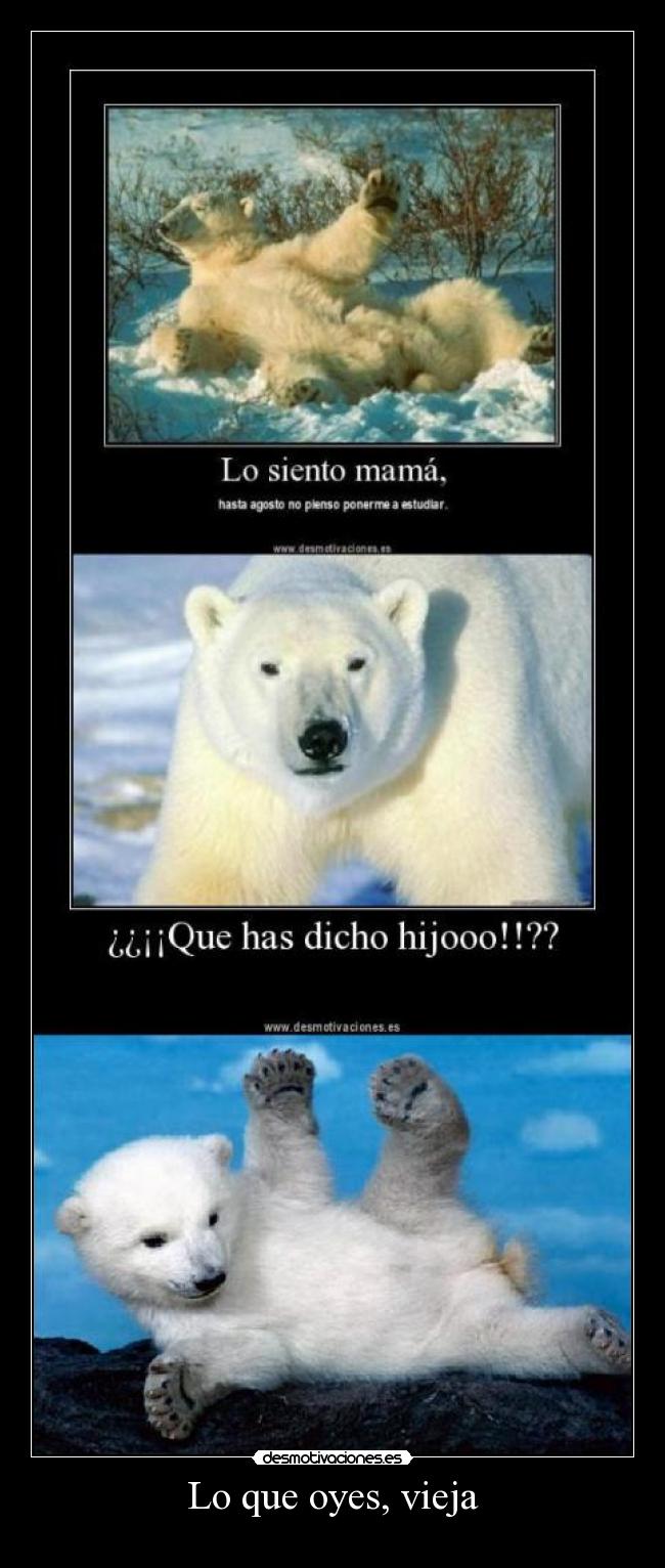 Lo que oyes, vieja -