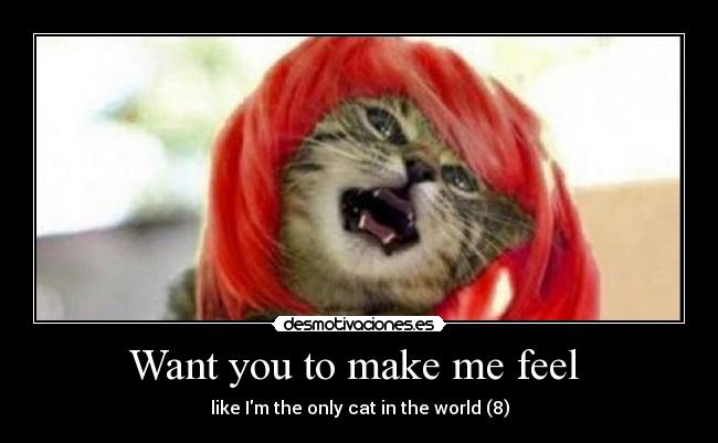 Want you to make me feel  - like Im the only cat in the world (8)