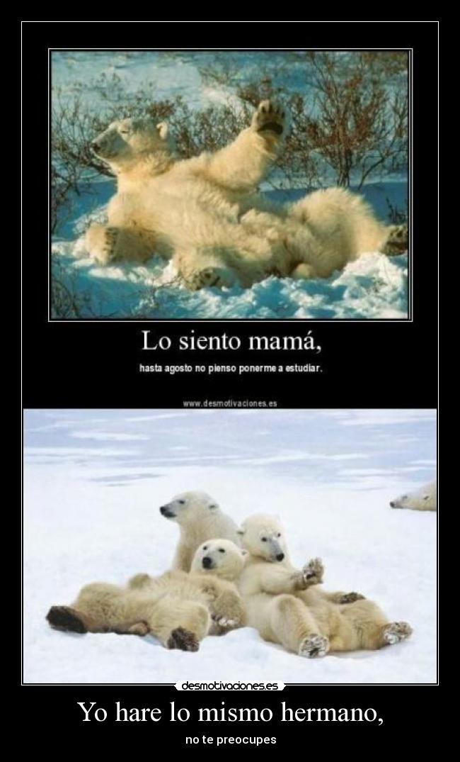 Yo hare lo mismo hermano, -