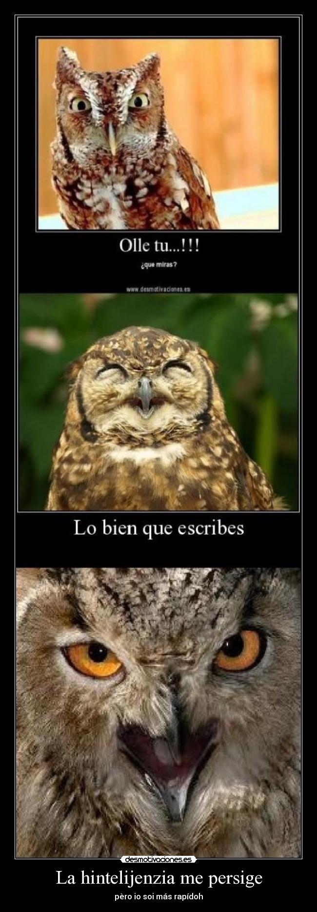 La hintelijenzia me persige -