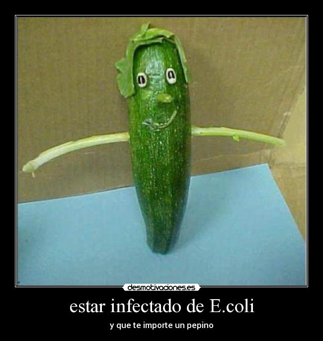 estar infectado de E.coli - y que te importe un pepino