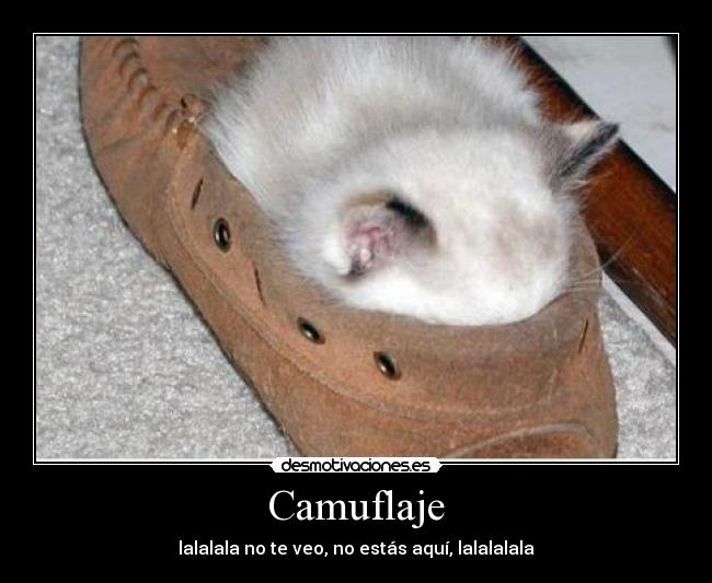 Camuflaje - lalalala no te veo, no estás aquí, lalalalala