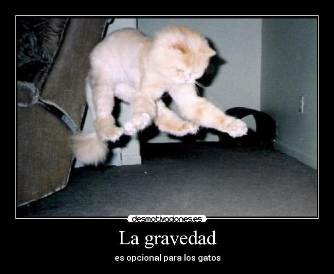 La gravedad -