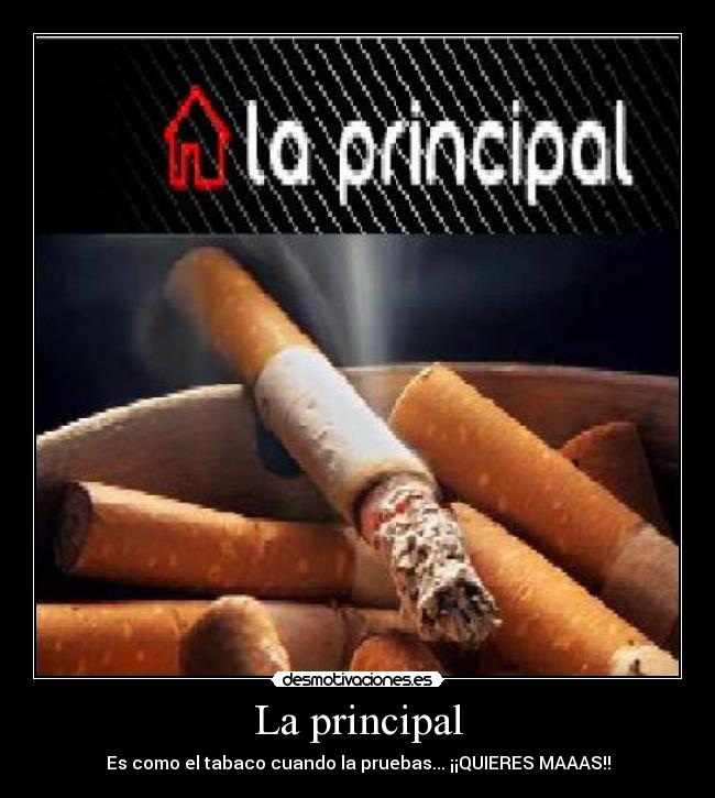 La principal - Es como el tabaco cuando la pruebas... ¡¡QUIERES MAAAS!!