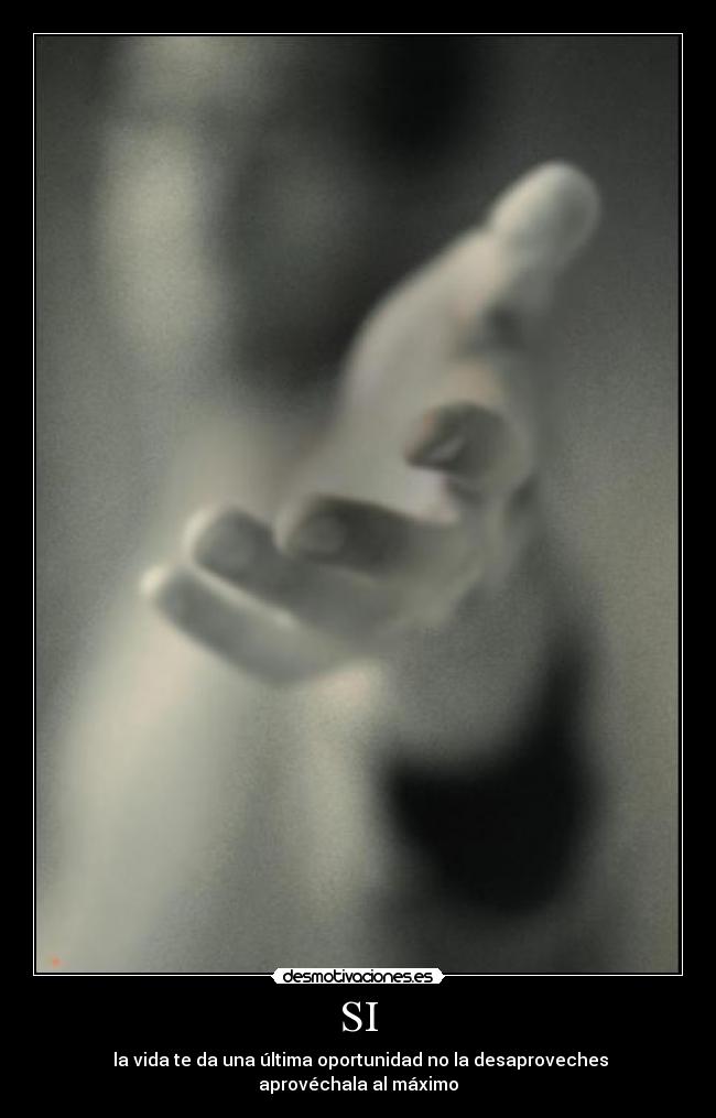 SI - la vida te da una última oportunidad no la desaproveches aprovéchala al máximo