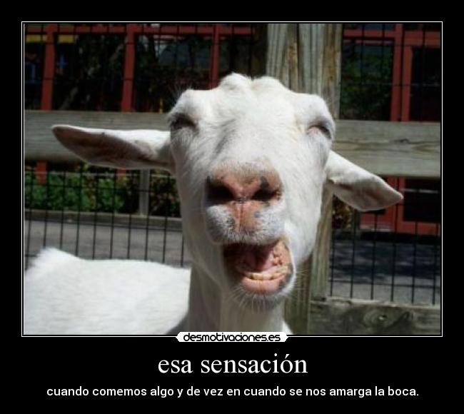 esa sensación - cuando comemos algo y de vez en cuando se nos amarga la boca.