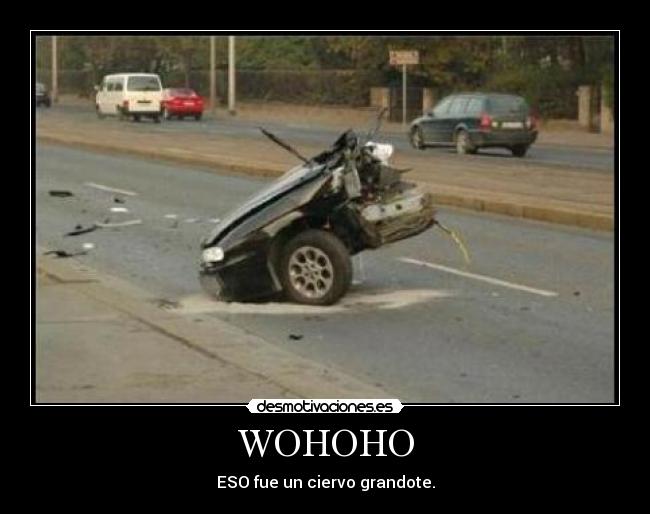 WOHOHO - ESO fue un ciervo grandote.