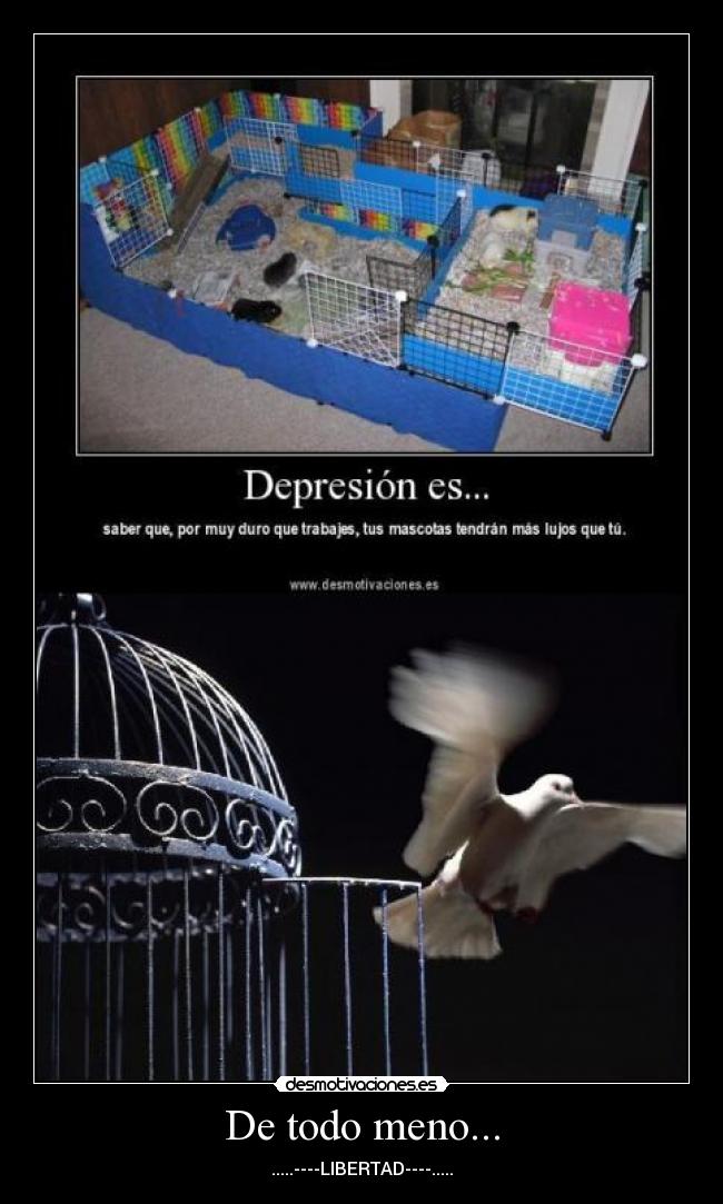 De todo meno... - .....----LIBERTAD----.....