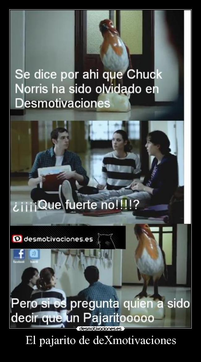 El pajarito de deXmotivaciones -