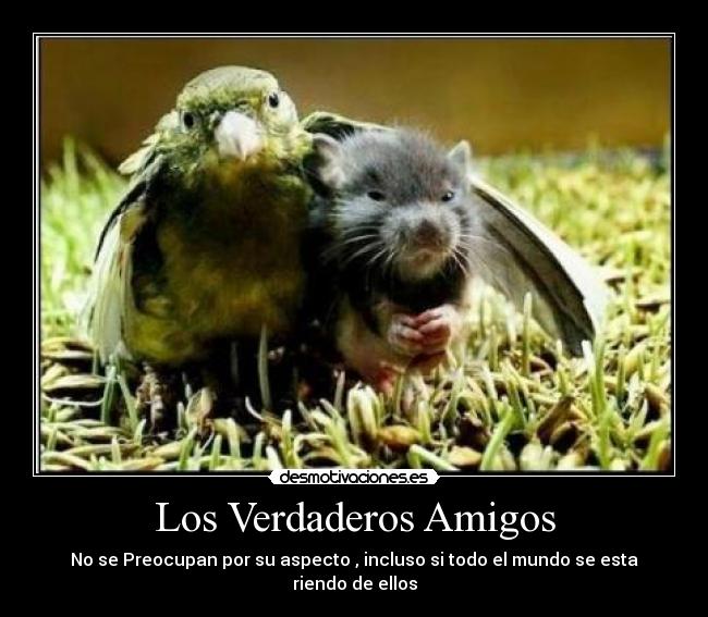 Los Verdaderos Amigos -