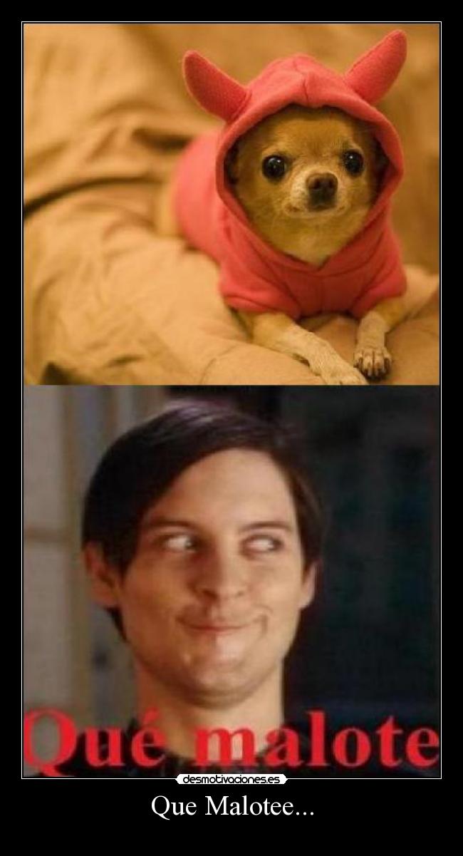 Que Malotee... -
