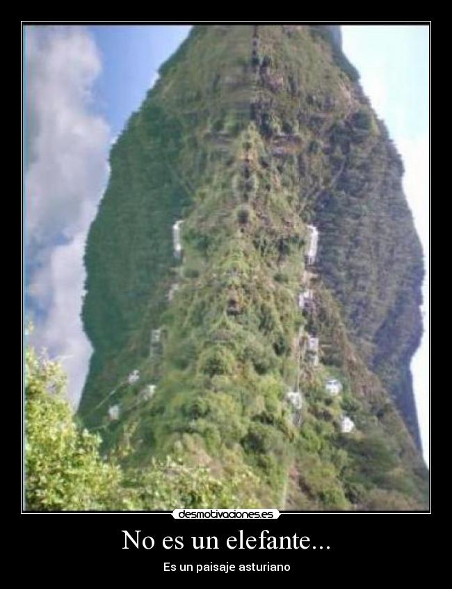 No es un elefante... - 