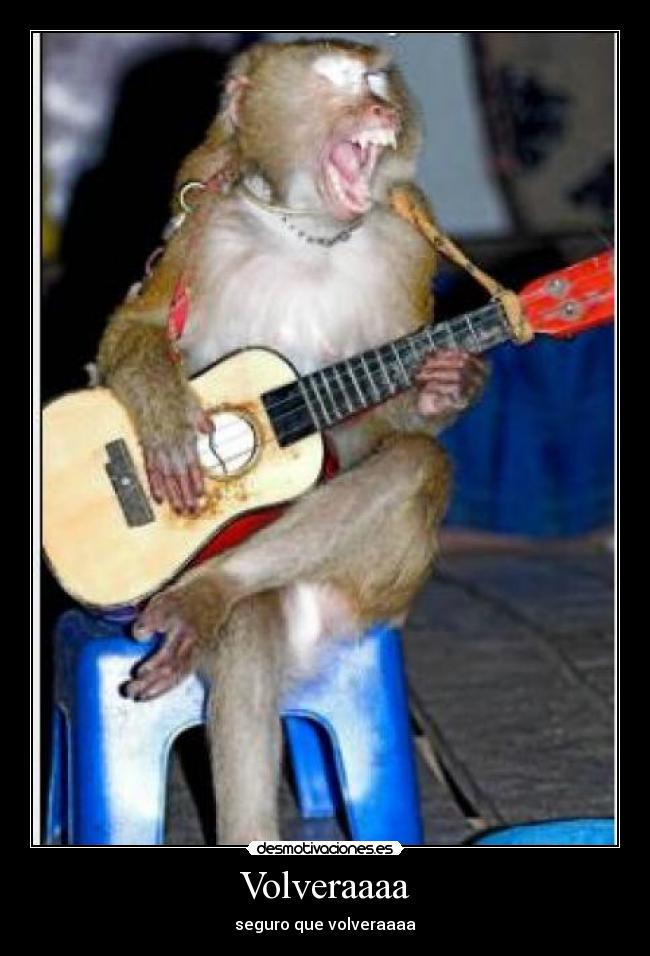 Volveraaaa - seguro que volveraaaa