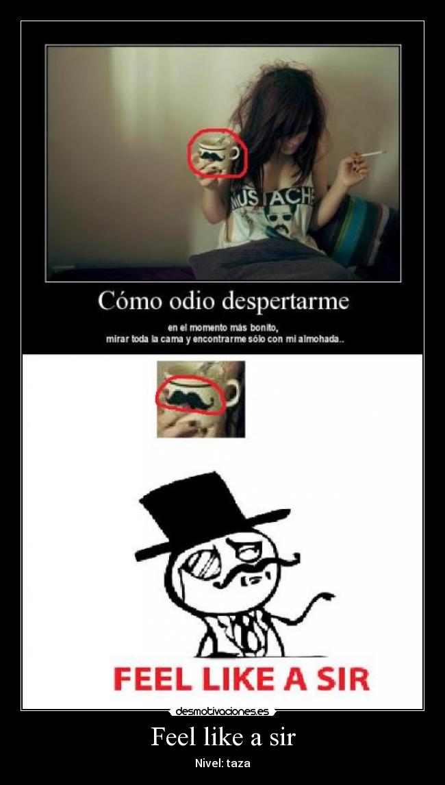 Feel like a sir -