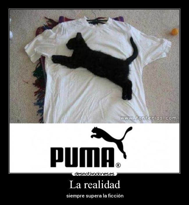 La realidad - 