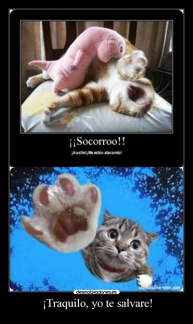 ¡Traquilo, yo te salvare! - 