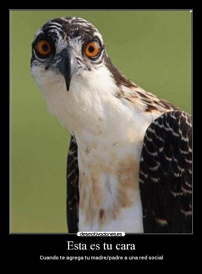 Esta es tu cara -