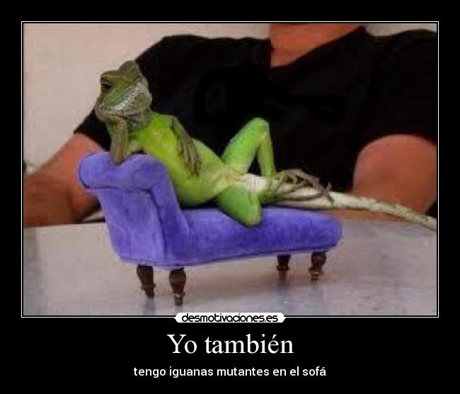 Yo también - tengo iguanas mutantes en el sofá