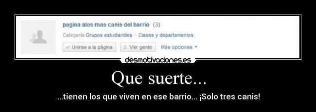 Que suerte... - ...tienen los que viven en ese barrio... ¡Solo tres canis!