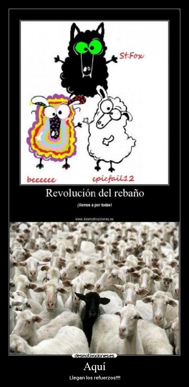 Aquí - Llegan los refuerzos!!!!