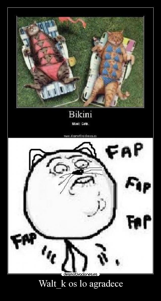 Walt_k os lo agradece - 