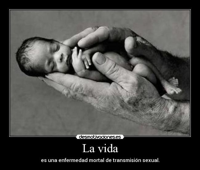 La vida -