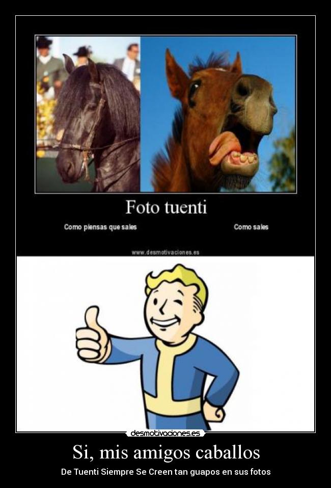 Si, mis amigos caballos -