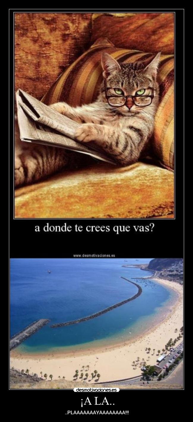 ¡A LA.. - ..PLAAAAAAAYAAAAAAAA!!!