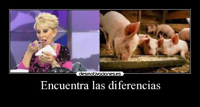 Encuentra las diferencias - 