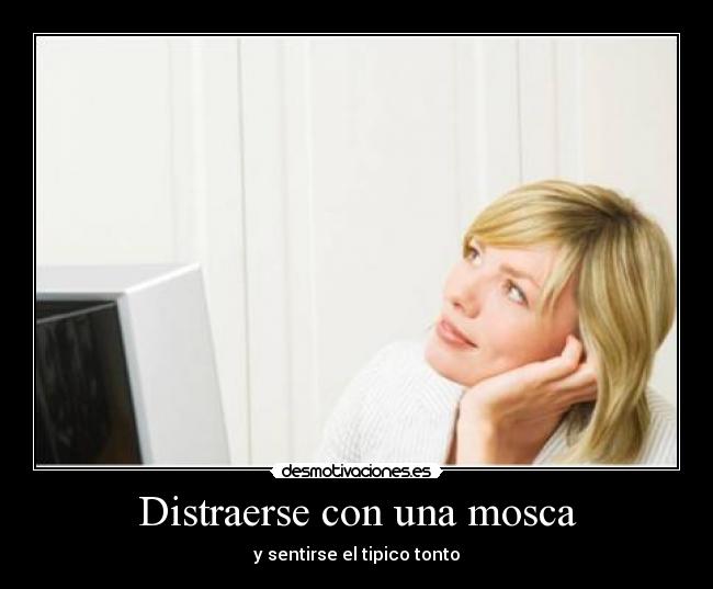 Distraerse con una mosca - 