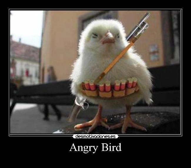 Angry Bird - 