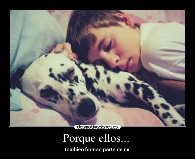 Porque ellos... -