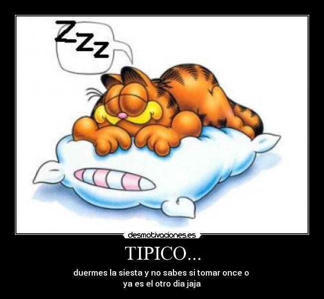 carteles siesta desmotivaciones