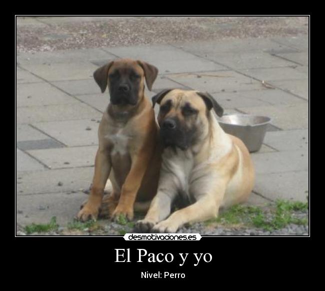 El Paco y yo -