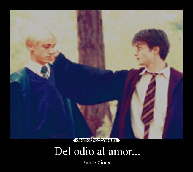 Del odio al amor... -