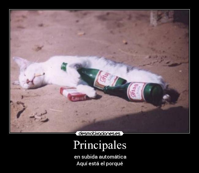 Principales - en subida automática
Aquí está el porqué